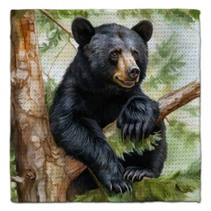 Bear (1) In Tree Eco-Friendly Washcloth