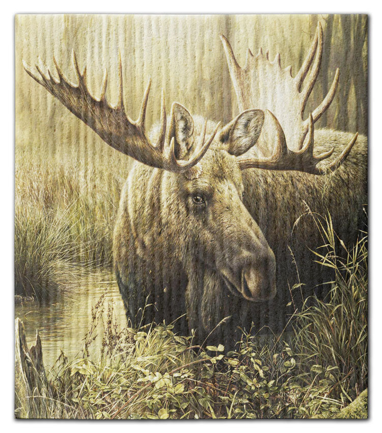 Moose in Wetland Dishcloth