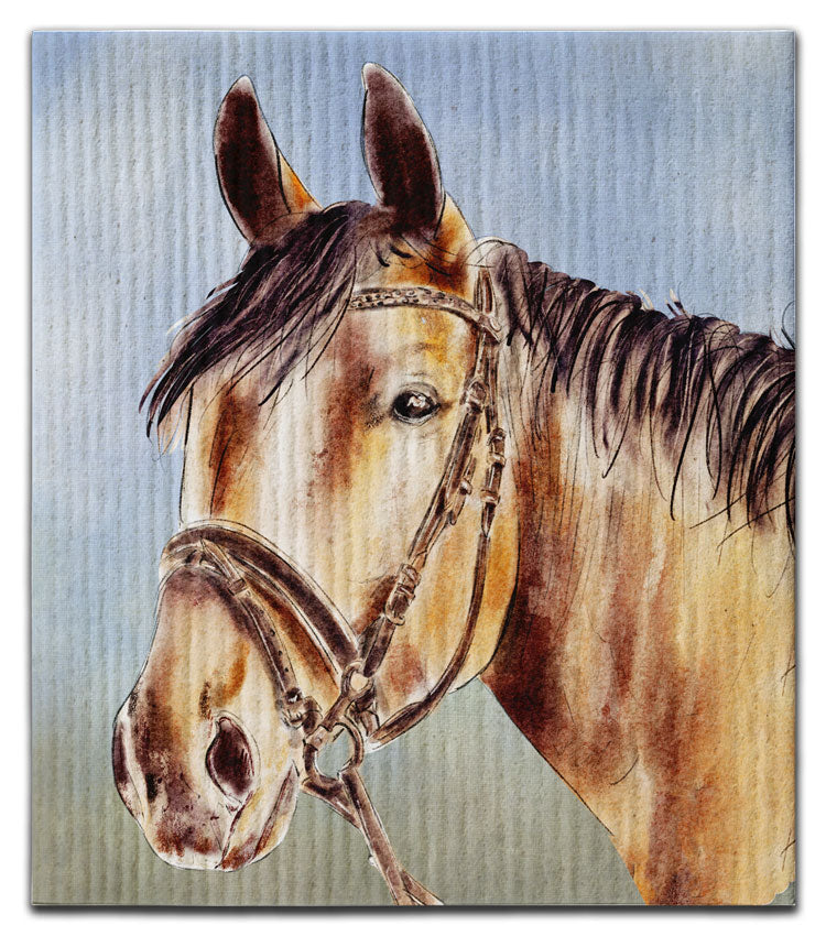 Horse Face Dishcloth