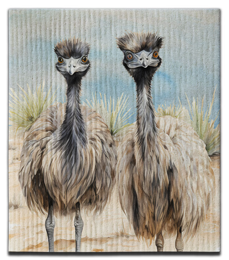 Emu Dishcloth
