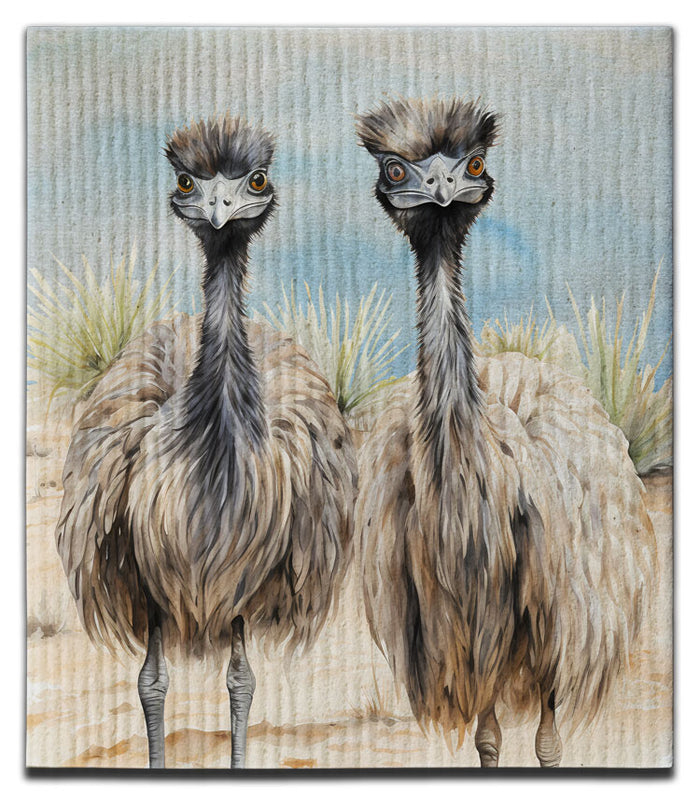 Emu Dishcloth