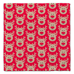 Reindeer Face Eco-Friendly Washcltoh