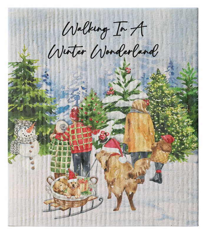 Winter Wonderland Family Dishcloth