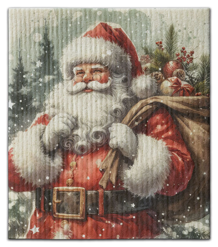 Snowy Santa Dishcloth - CJ Bella Co.