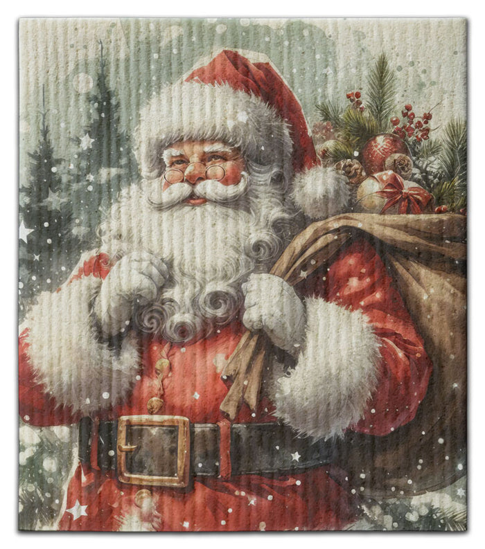 Snowy Santa Dishcloth
