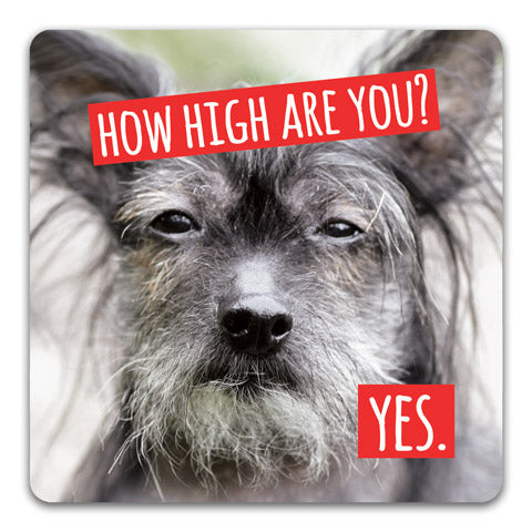"How High" Drink Coaster by CJ Bella Co.