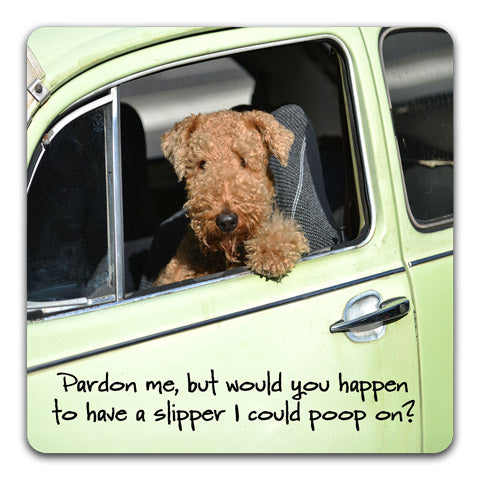 193-Pardon-Me-Table-Top-Coaster-by-CJ-Bella-Co