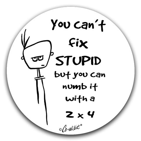 CE2-127 Can't Fix Stupid Co-Edikit and CJ Bella Co