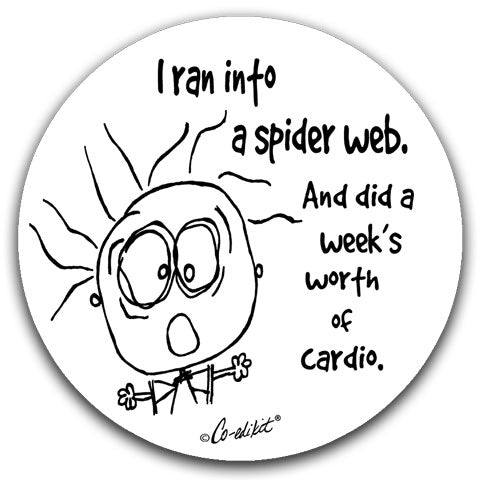 I Ran Into A Spider Web" Car Coasters by Co-edikit