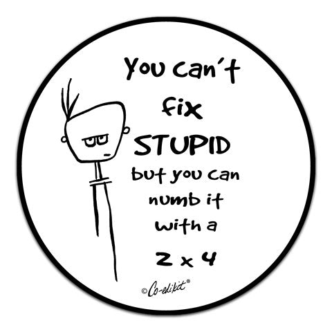 "You Can't Fix Stupid" Vinyl Decal by Co-Edikit