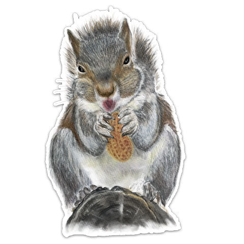 CJ6-071-Squirrel-Vinyl-Decal-by-CJ-Bella-Co