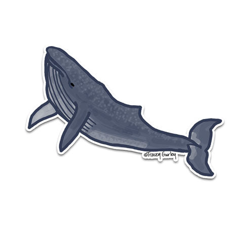 "Whale" Vinyl Decal by Tracey Gurley