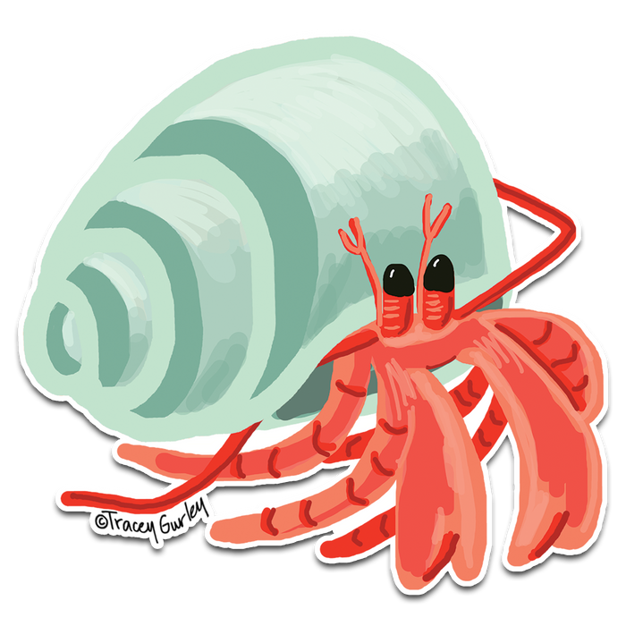 "Hermit Crab" Vinyl Decal by Tracey Gurley