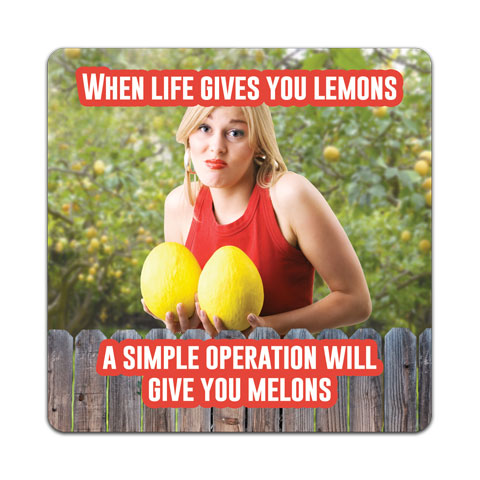 W6-148-Life-Lemons-Vinyl-Decal-by-Wits-n-Giggles-and-CJ-Bella-Co.jpg