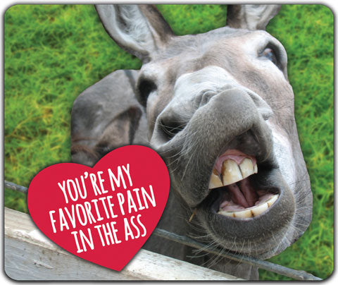 "You're My Favorite" Mouse Pad by CJ Bella Co