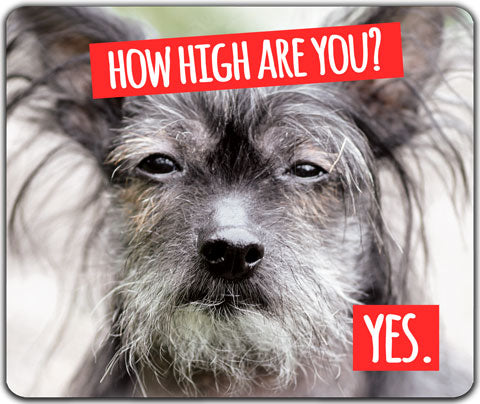 "How High Are You" Mouse Pad by CJ Bella Co